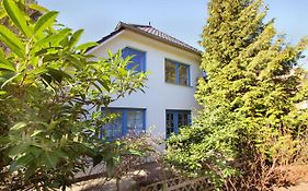 Haus an der Düne - Ferienwohnungen Nr 03
